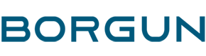 Borgun paymlent
